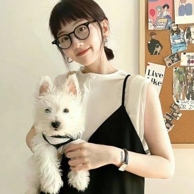犯罪市长