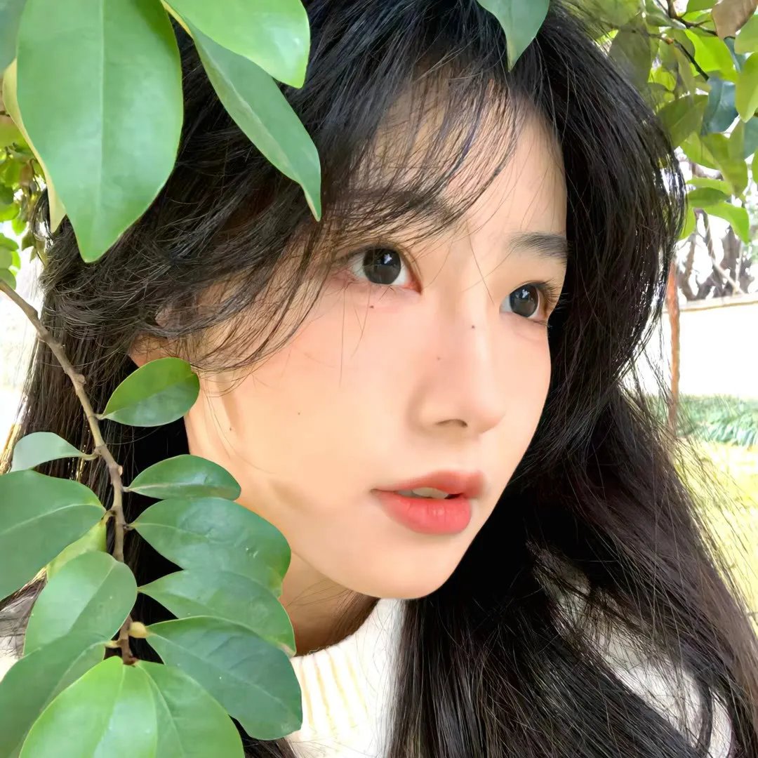 罗莎的自白